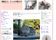 �슴�l�R�@�~�[�R�̓Ƃ茾